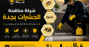 شركة مكافحة الحشرات بجدة