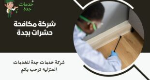 شركة مكافحة حشرات بجدة