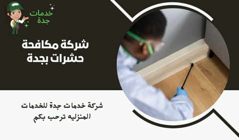 شركة مكافحة حشرات بجدة