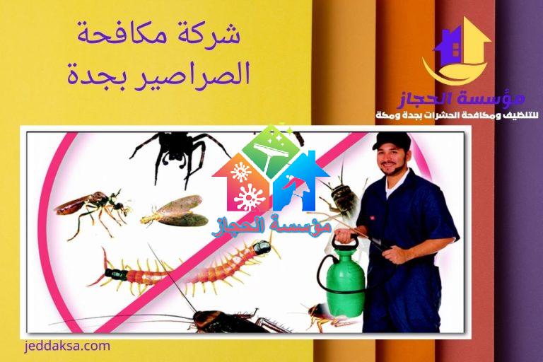 شركة مكافحة الصراصير بجدة