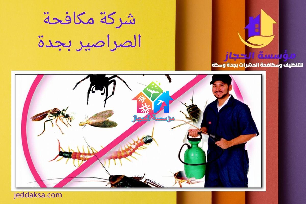 شركة مكافحة الصراصير بجدة
