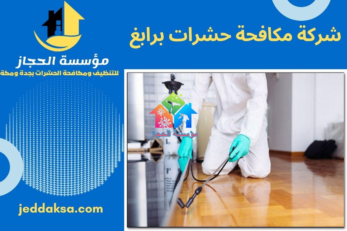 شركة مكافحة حشرات برابغ
