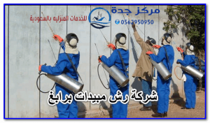 شركة رش مبيدات برابغ