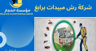 شركة رش مبيدات برابغ