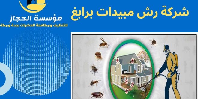 شركة رش مبيدات برابغ