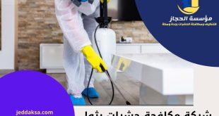  شركة مكافحة حشرات بثول