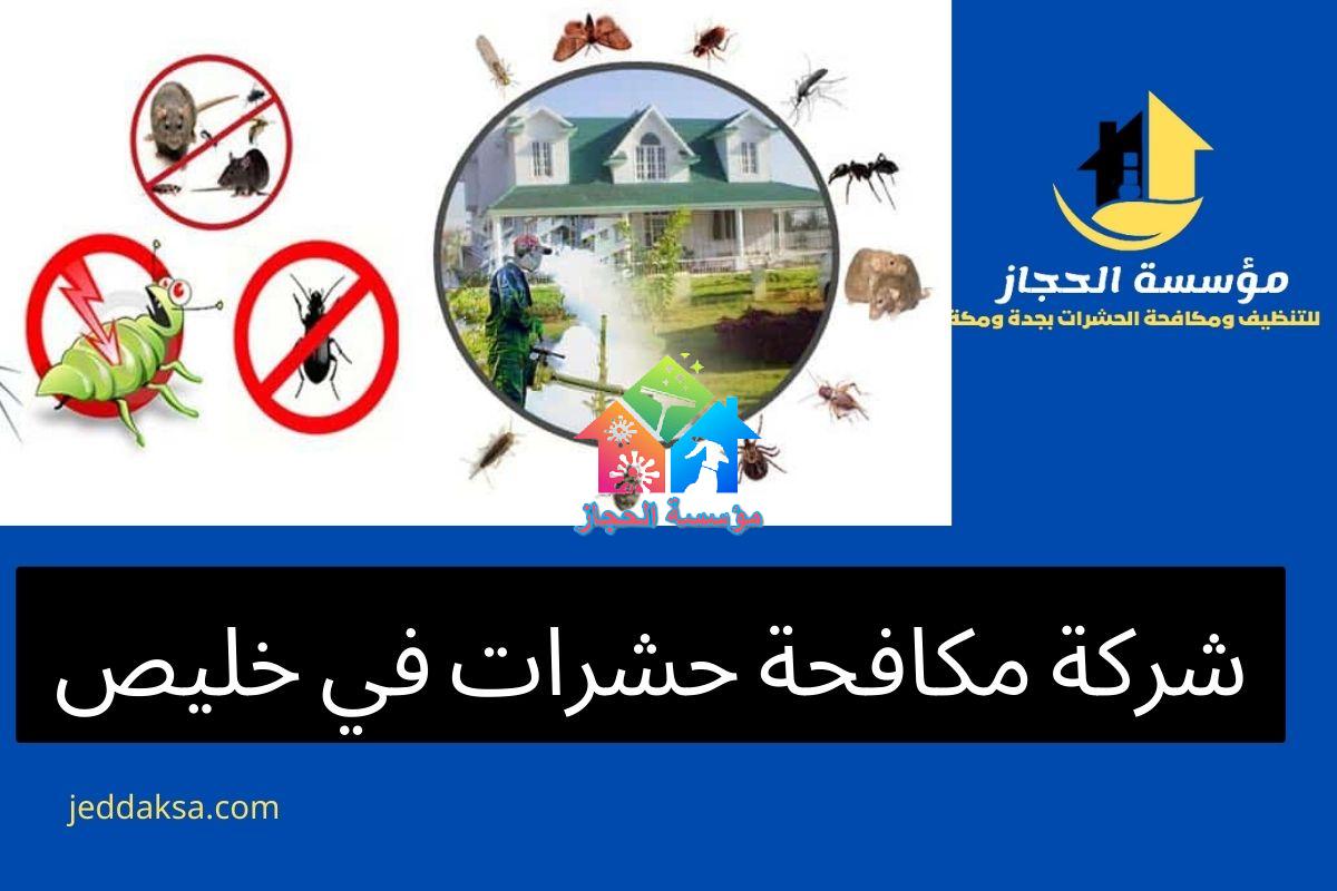 شركة مكافحة حشرات في خليص