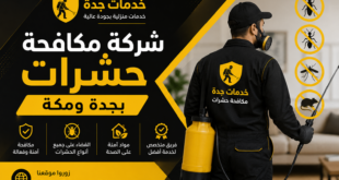 شركة مكافحة حشرات بجدة ومكة