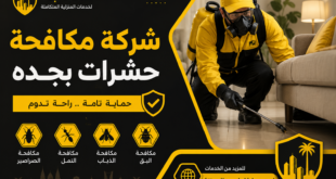 شركة مكافحة حشرات بجده