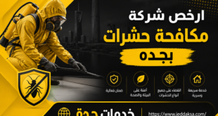 ارخص شركة مكافحة حشرات بجده