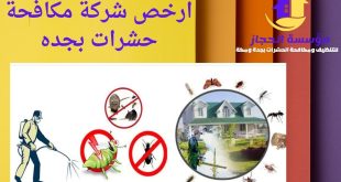 ارخص شركة مكافحة حشرات بجده