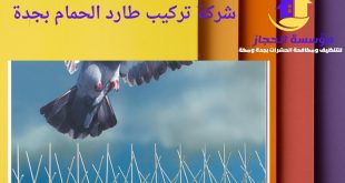 شركة تركيب طارد الحمام بجدة