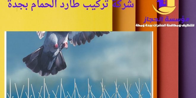 شركة تركيب طارد الحمام بجدة