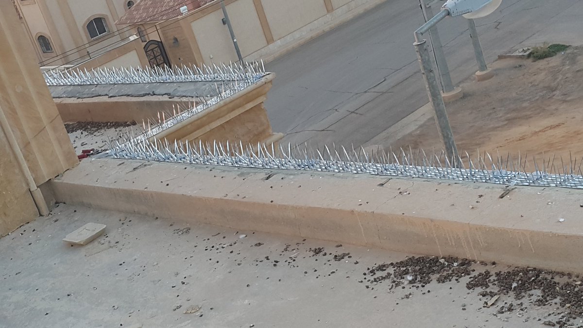 شركة تركيب طارد الحمام بجدة