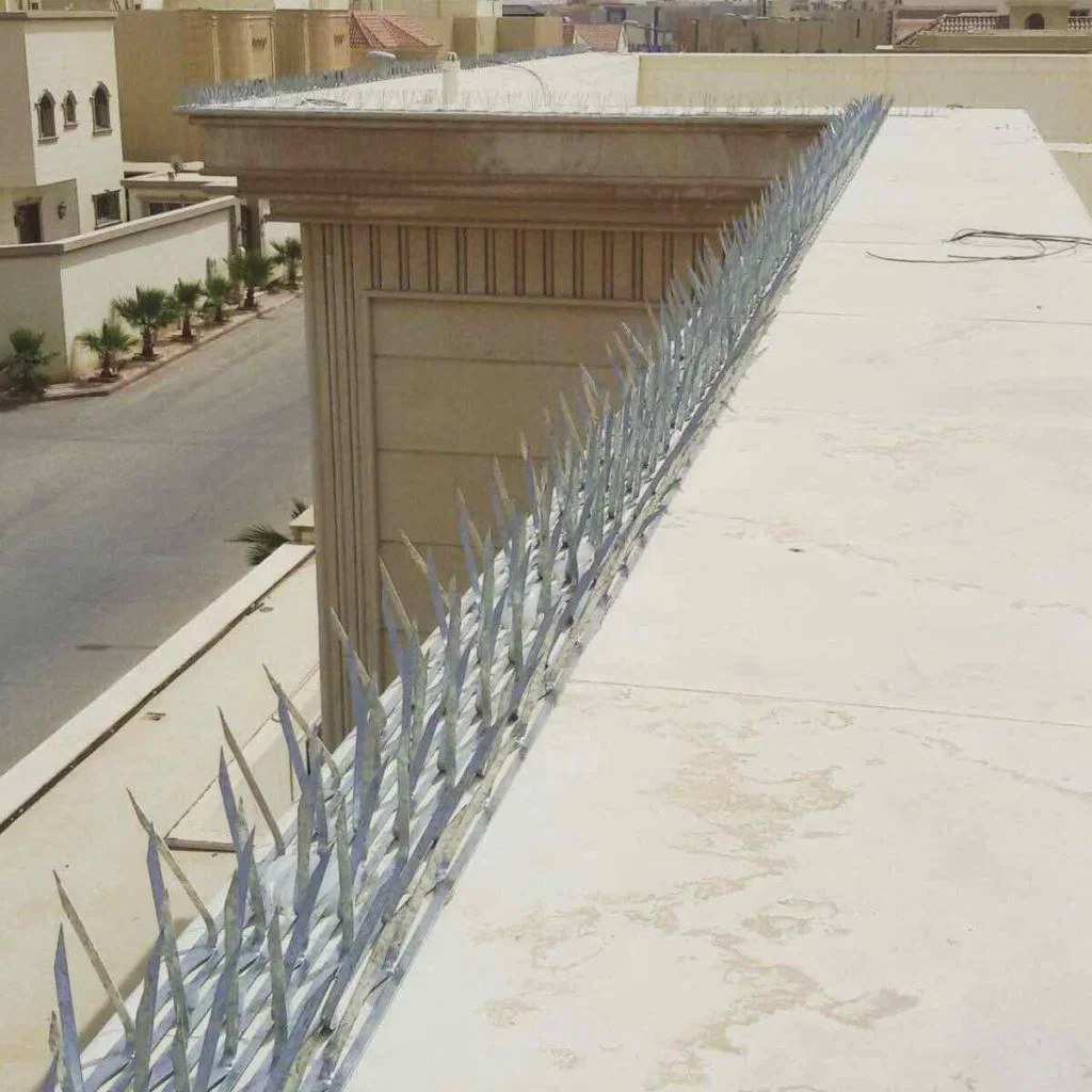 شركة تركيب طارد الحمام بجدة