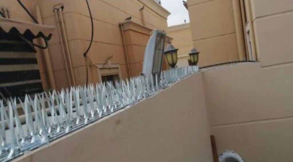 شركة تركيب طارد الحمام بجدة