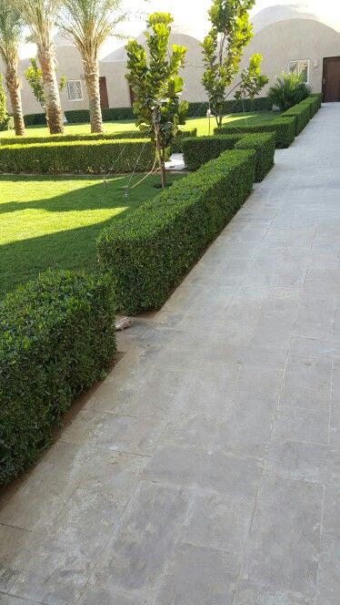 شركة تنسيق حدائق بالرياض