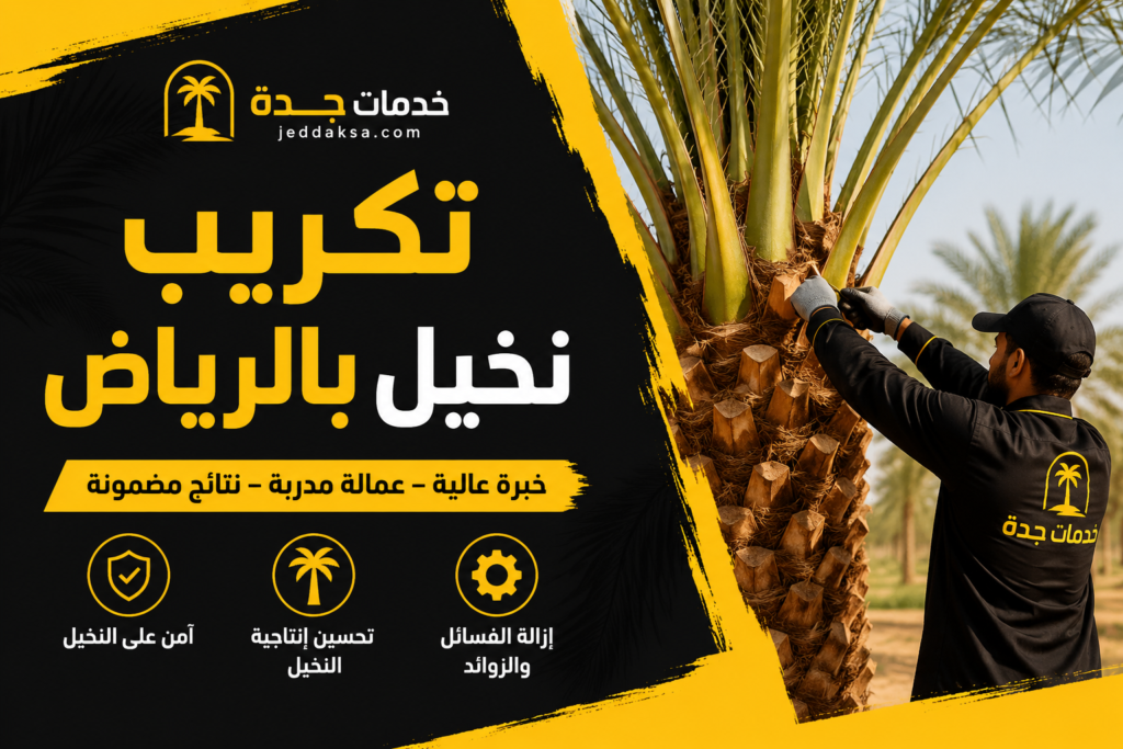 تكريب نخيل بالرياض