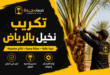 تكريب نخيل بالرياض