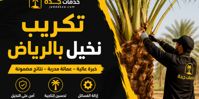 تكريب نخيل بالرياض