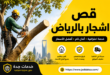قص اشجار بالرياض